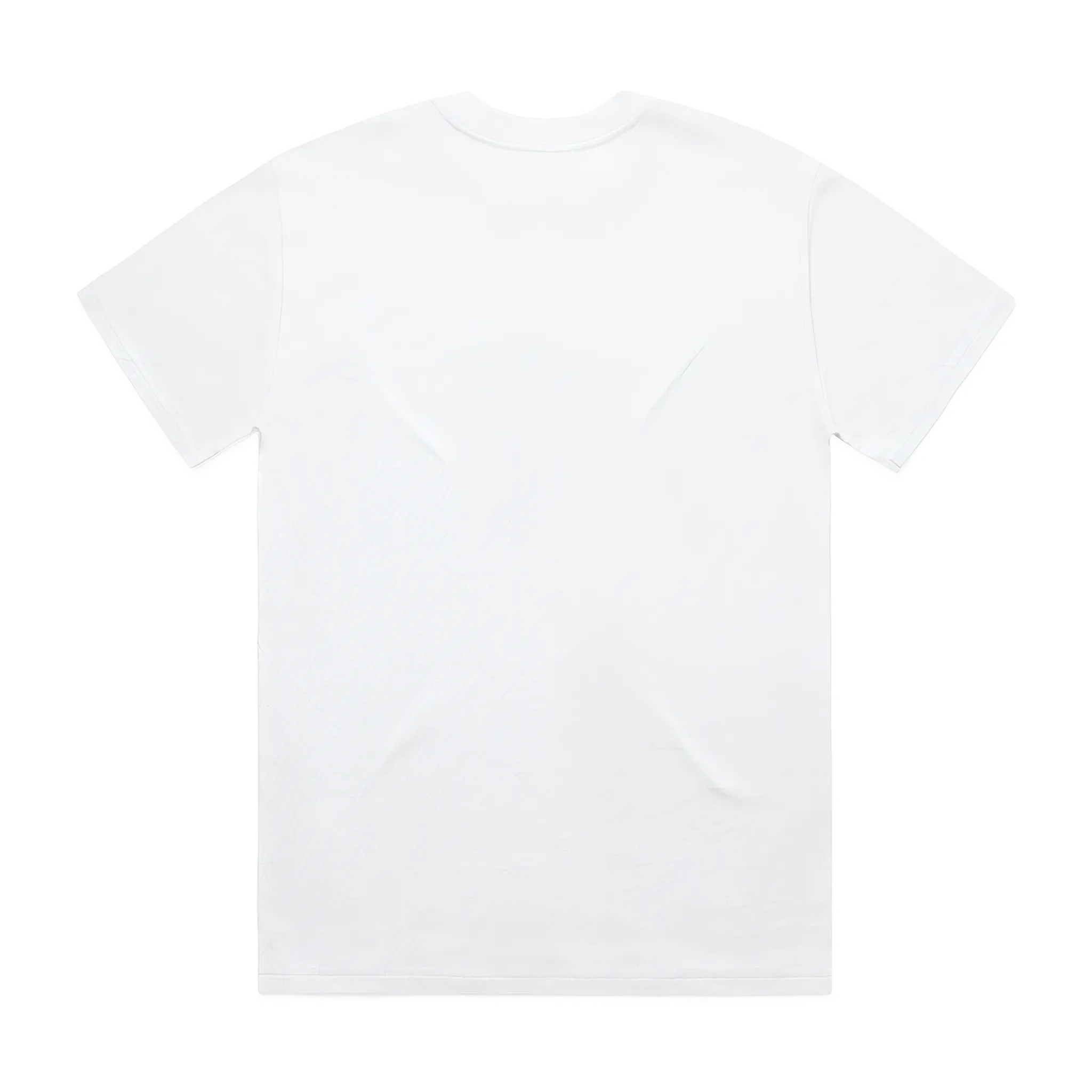 Plain white t-shirt on a white background
